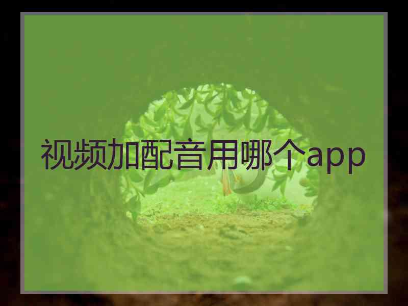 视频加配音用哪个app