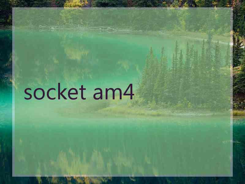 socket am4