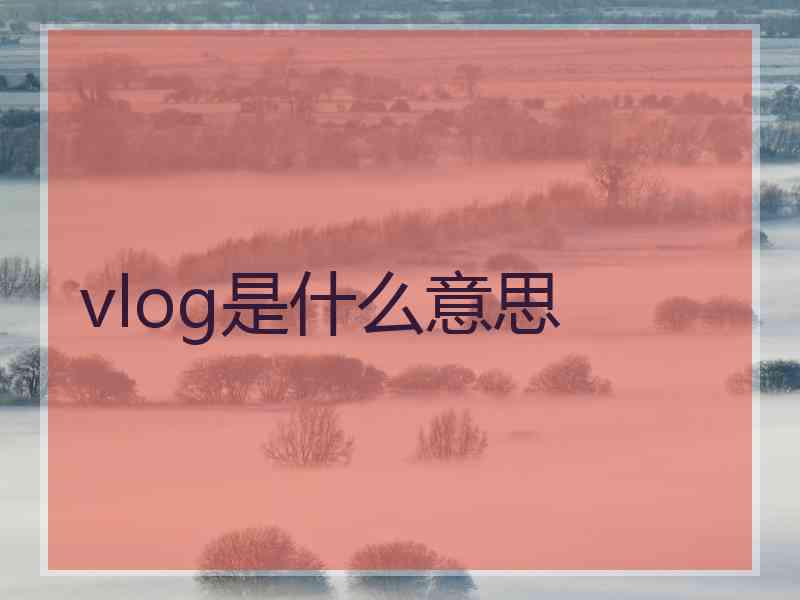 vlog是什么意思