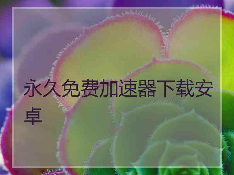 永久免费加速器下载安卓