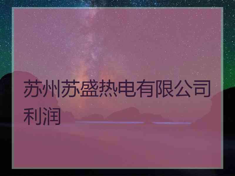 苏州苏盛热电有限公司利润