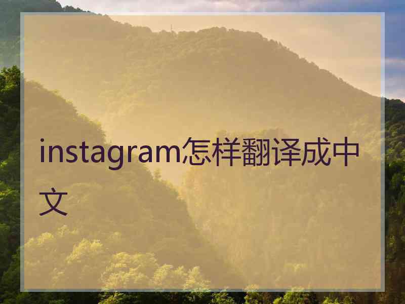 instagram怎样翻译成中文