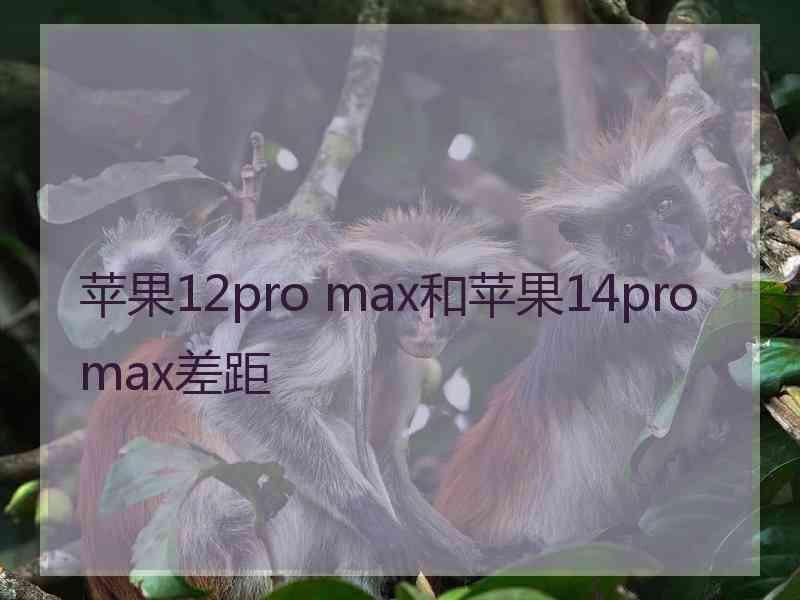 苹果12pro max和苹果14promax差距