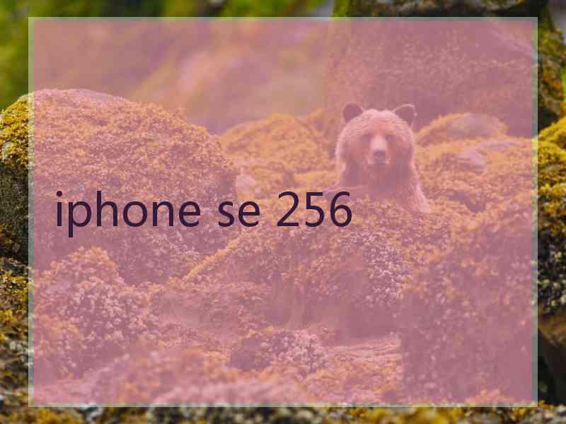 iphone se 256