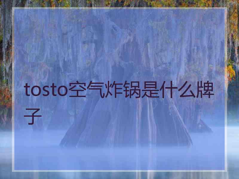 tosto空气炸锅是什么牌子