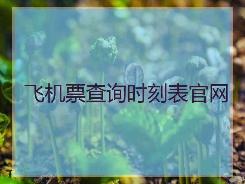 飞机票查询时刻表官网