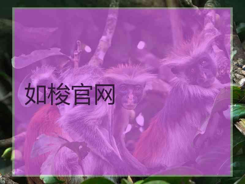 如梭官网