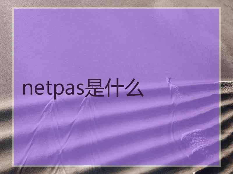 netpas是什么