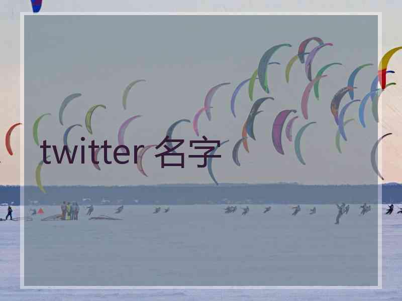 twitter 名字