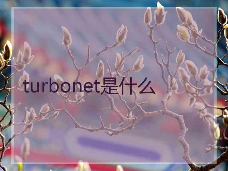 turbonet是什么