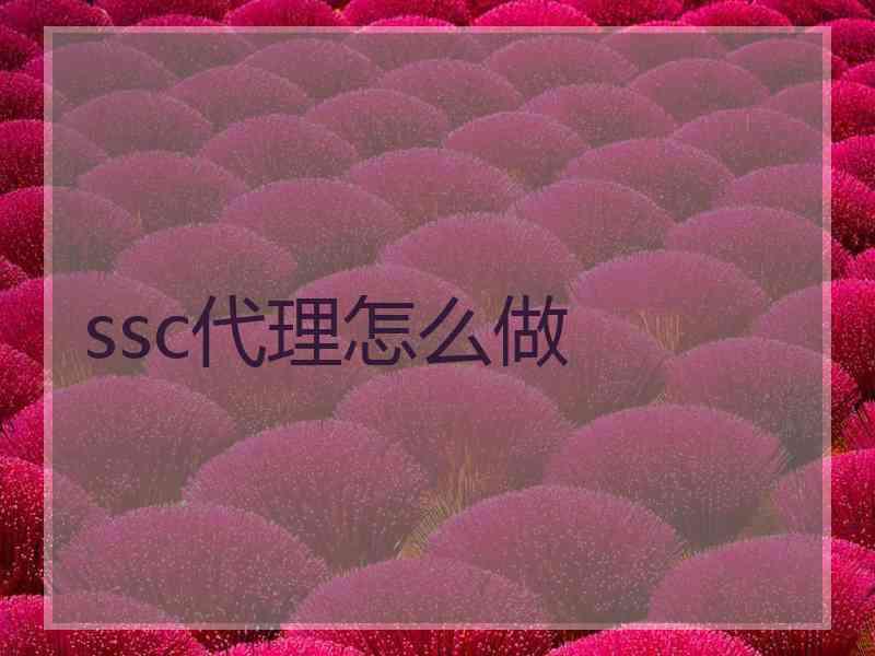 ssc代理怎么做