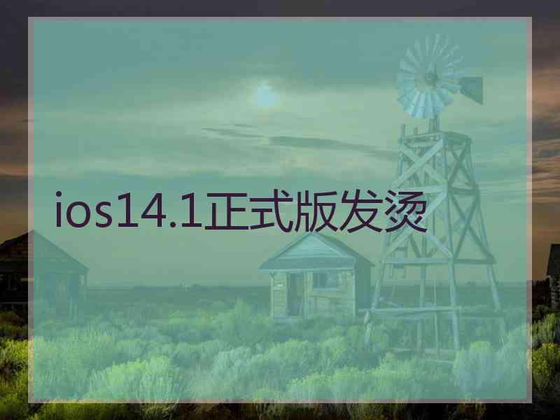 ios14.1正式版发烫