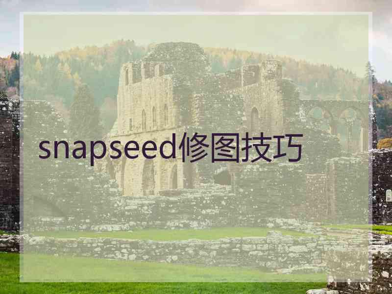 snapseed修图技巧