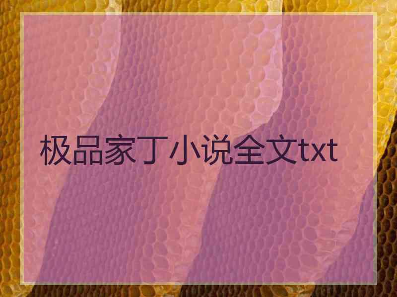 极品家丁小说全文txt