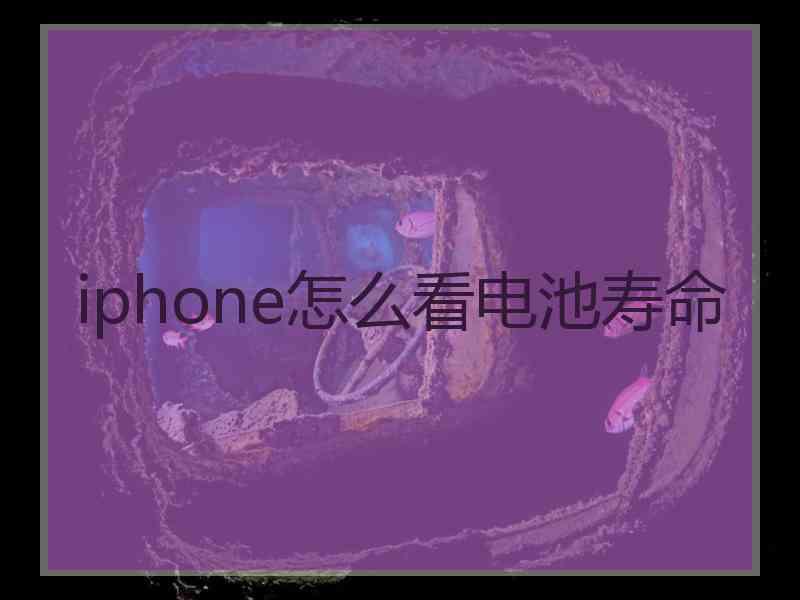 iphone怎么看电池寿命