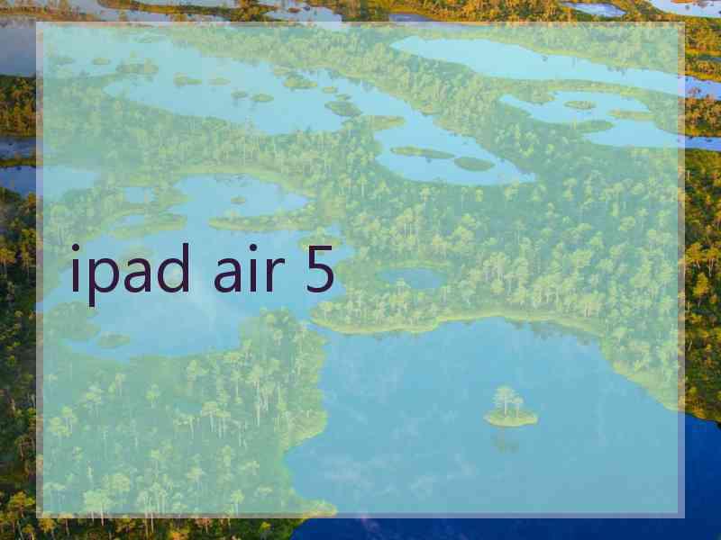 ipad air 5