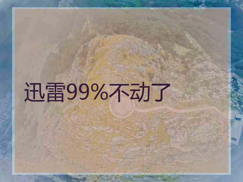 迅雷99%不动了