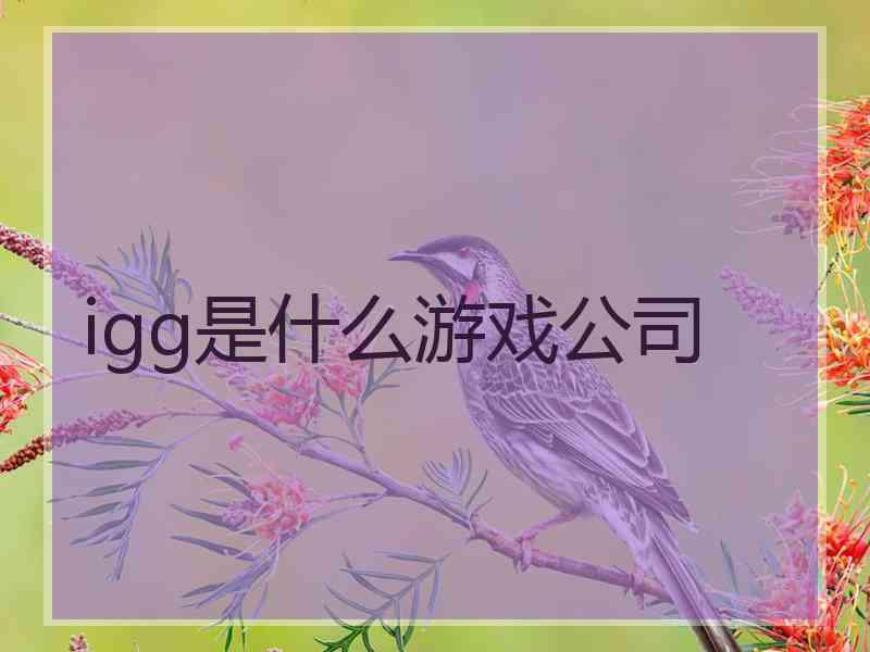 igg是什么游戏公司