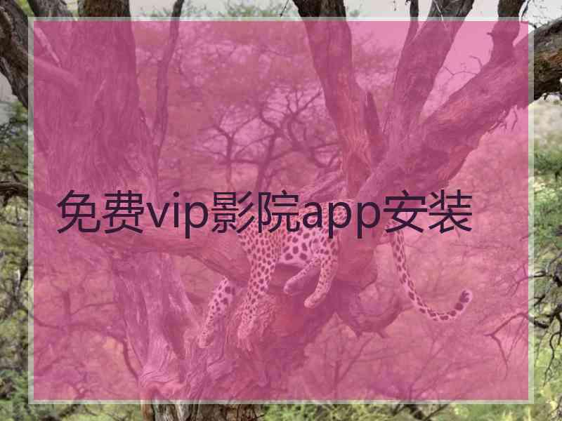 免费vip影院app安装