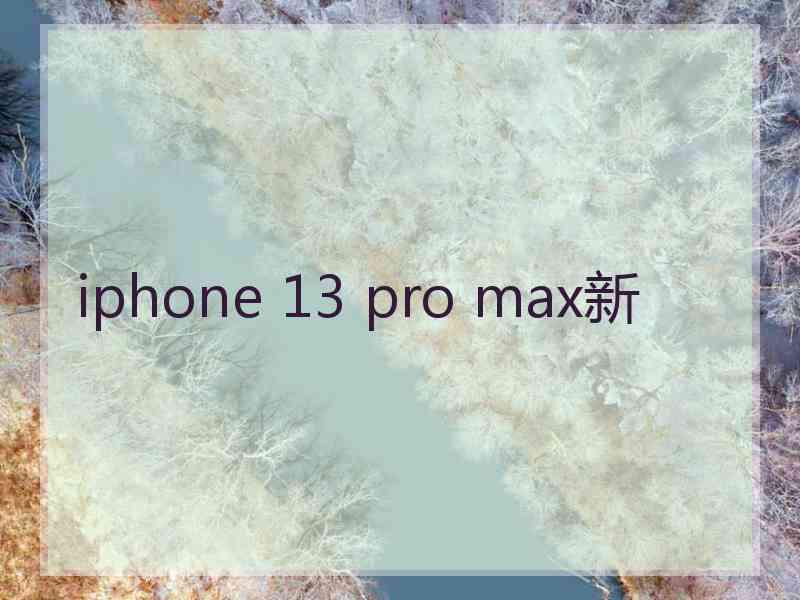 iphone 13 pro max新