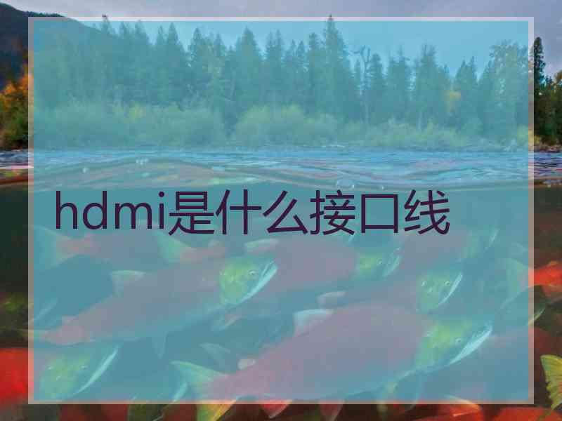 hdmi是什么接口线