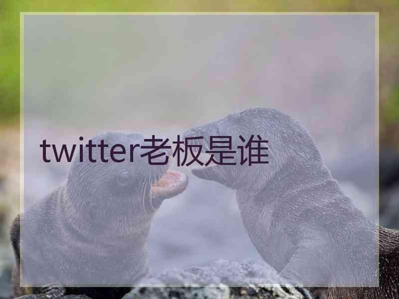 twitter老板是谁