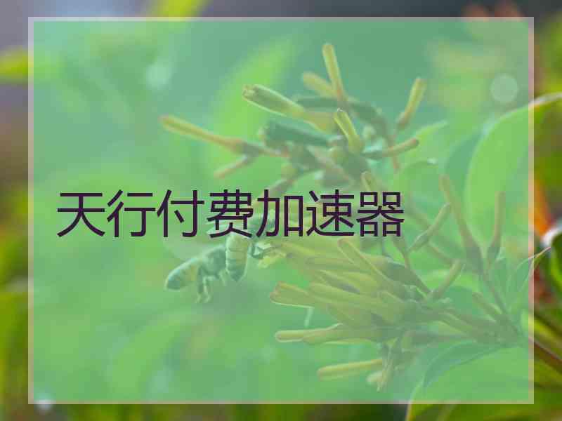 天行付费加速器