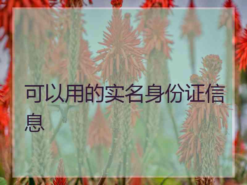 可以用的实名身份证信息