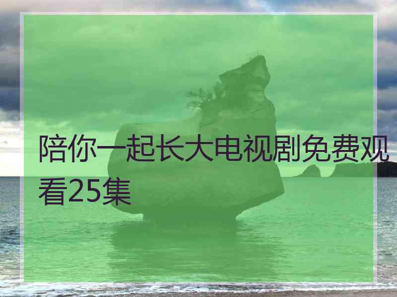 陪你一起长大电视剧免费观看25集