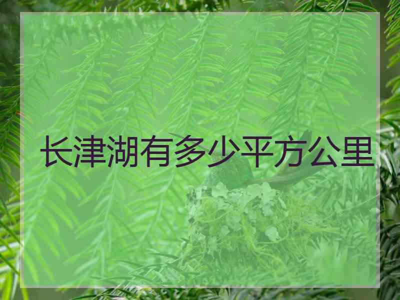 长津湖有多少平方公里