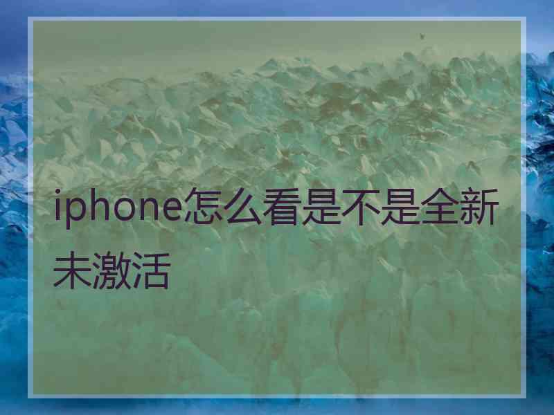 iphone怎么看是不是全新未激活