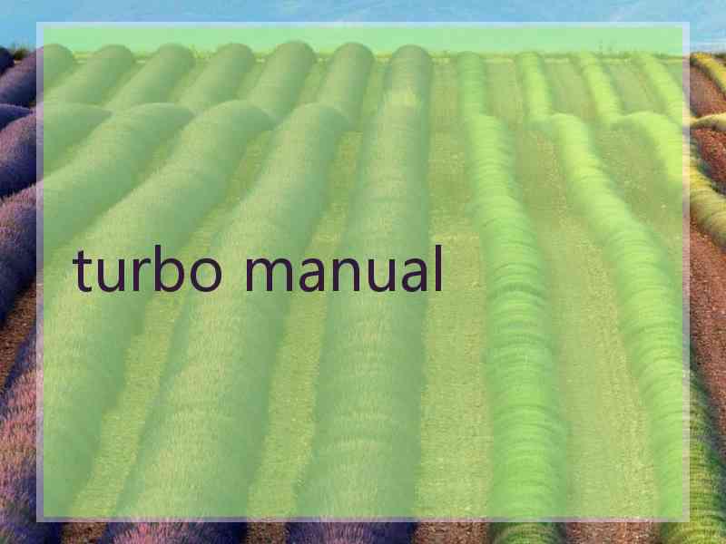 turbo manual