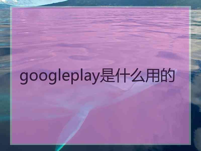 googleplay是什么用的