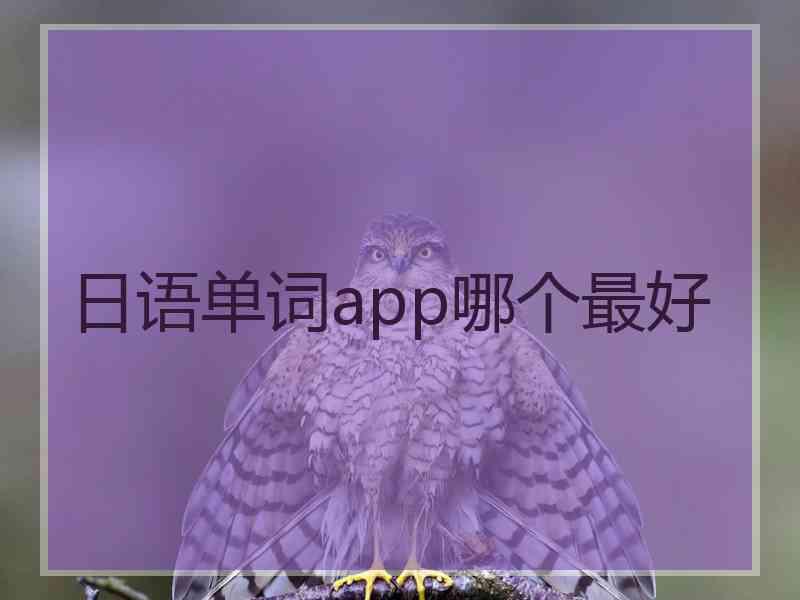 日语单词app哪个最好