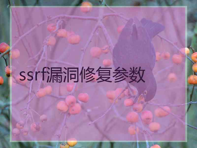 ssrf漏洞修复参数