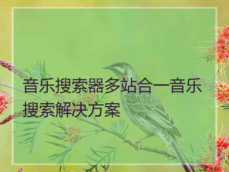 音乐搜索器多站合一音乐搜索解决方案