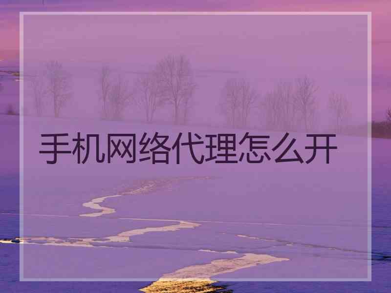 手机网络代理怎么开