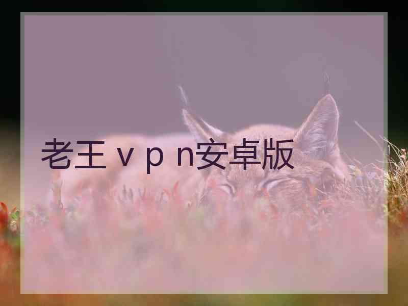 老王 v p n安卓版