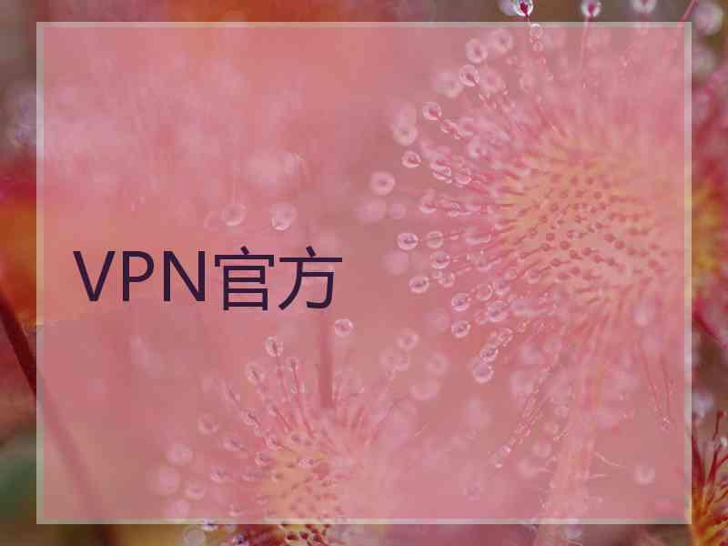 VPN官方