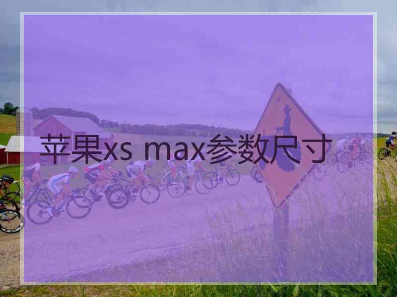 苹果xs max参数尺寸