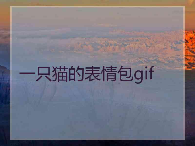 一只猫的表情包gif