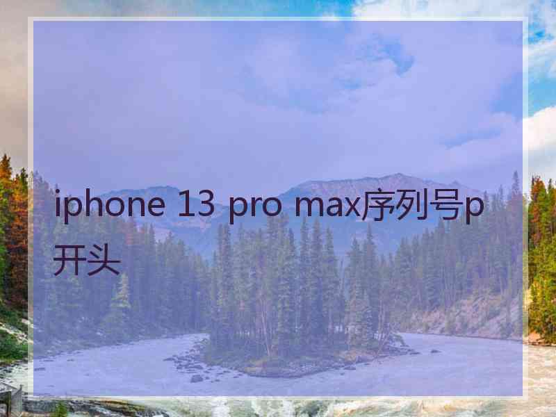 iphone 13 pro max序列号p开头