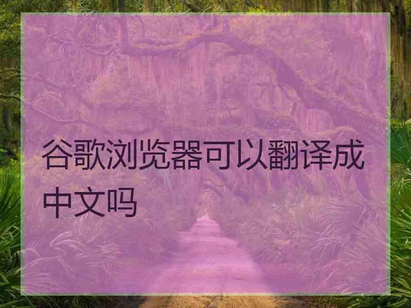 谷歌浏览器可以翻译成中文吗