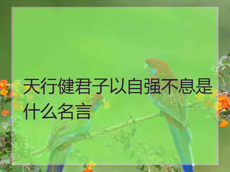 天行健君子以自强不息是什么名言