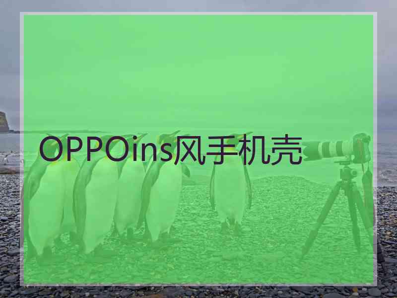 OPPOins风手机壳