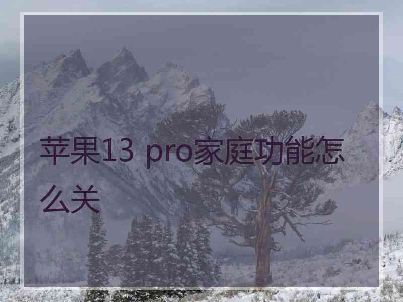 苹果13 pro家庭功能怎么关