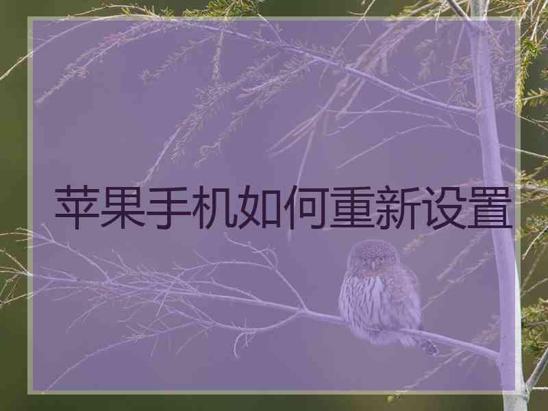 苹果手机如何重新设置