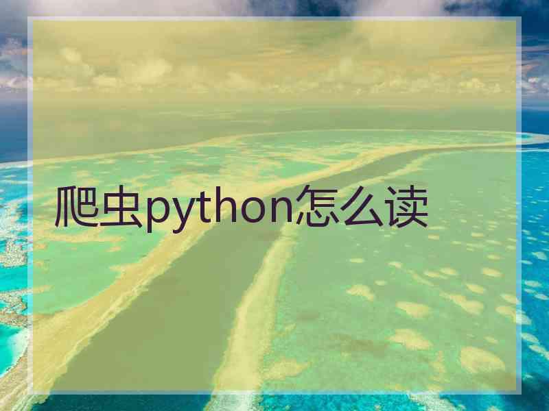 爬虫python怎么读