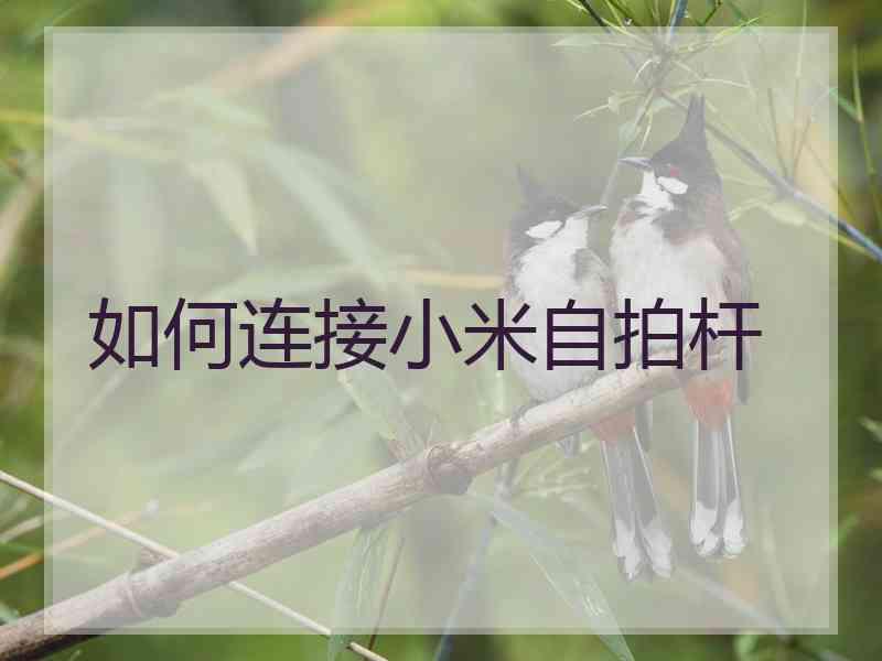 如何连接小米自拍杆