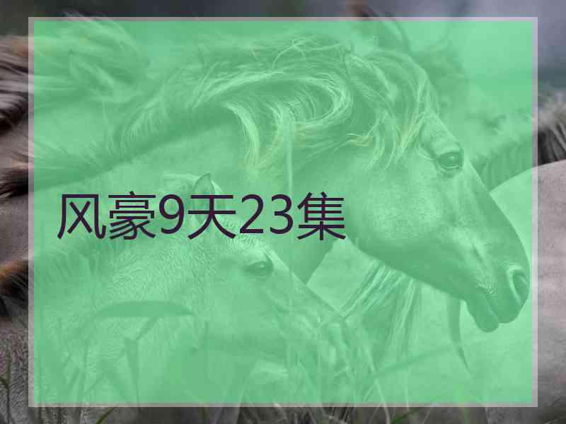 风豪9天23集